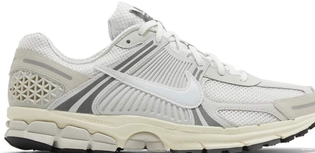5 Platinum Tint Nike Zoom Vomero 0814